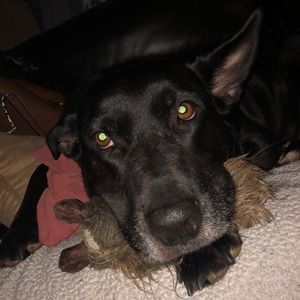 Meet your Posher, Catherine